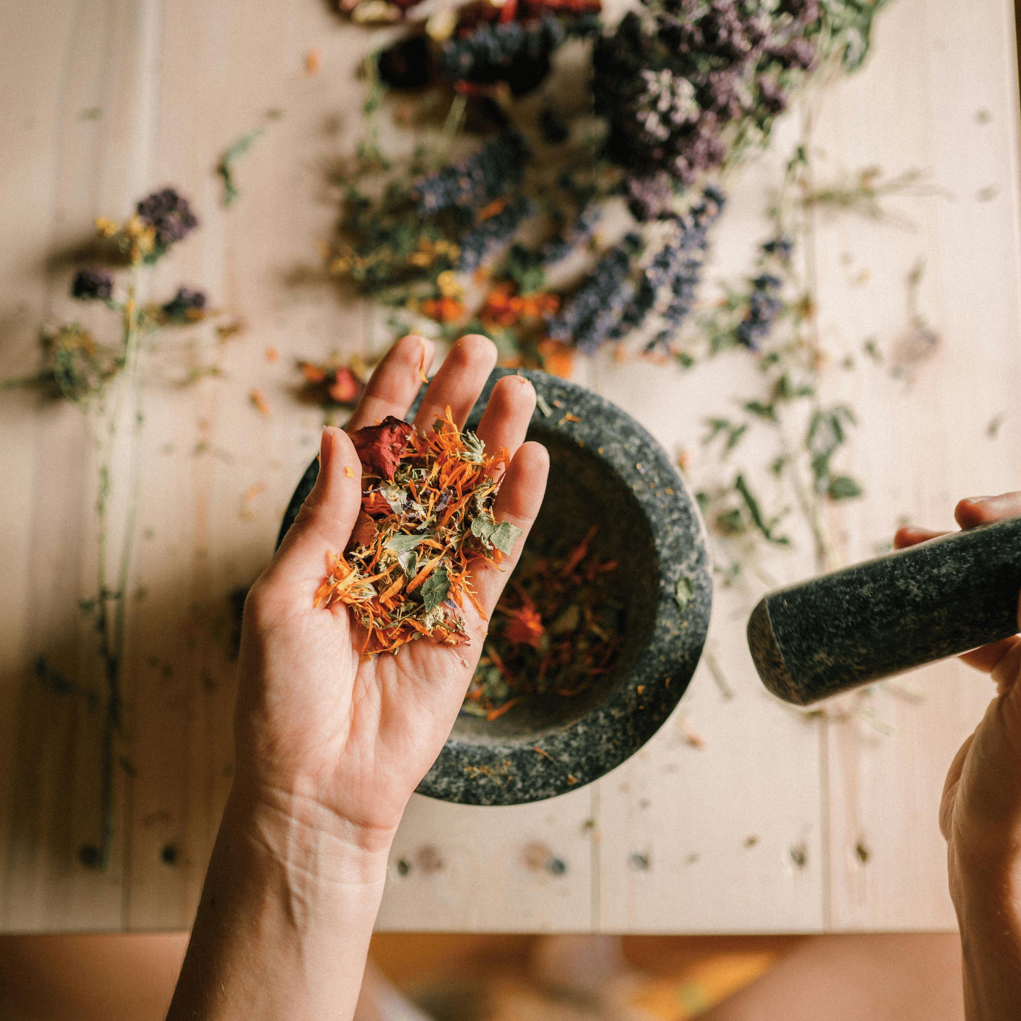 GUT HEALTH / DIGESTIVE SUPPORT