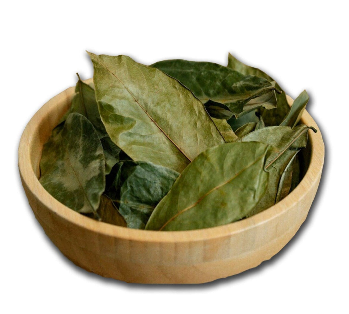 Organic Soursop Leaves – Premium Herbal Tea